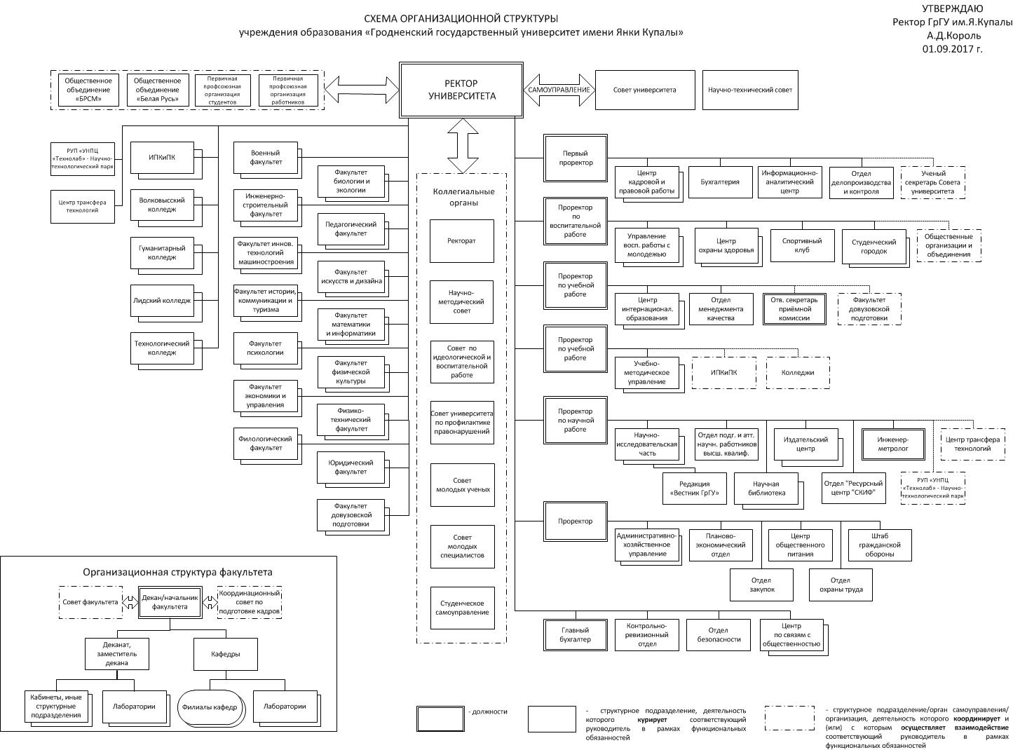 Организация университета